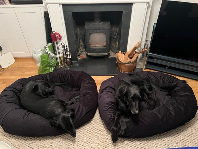 Hector and Gus