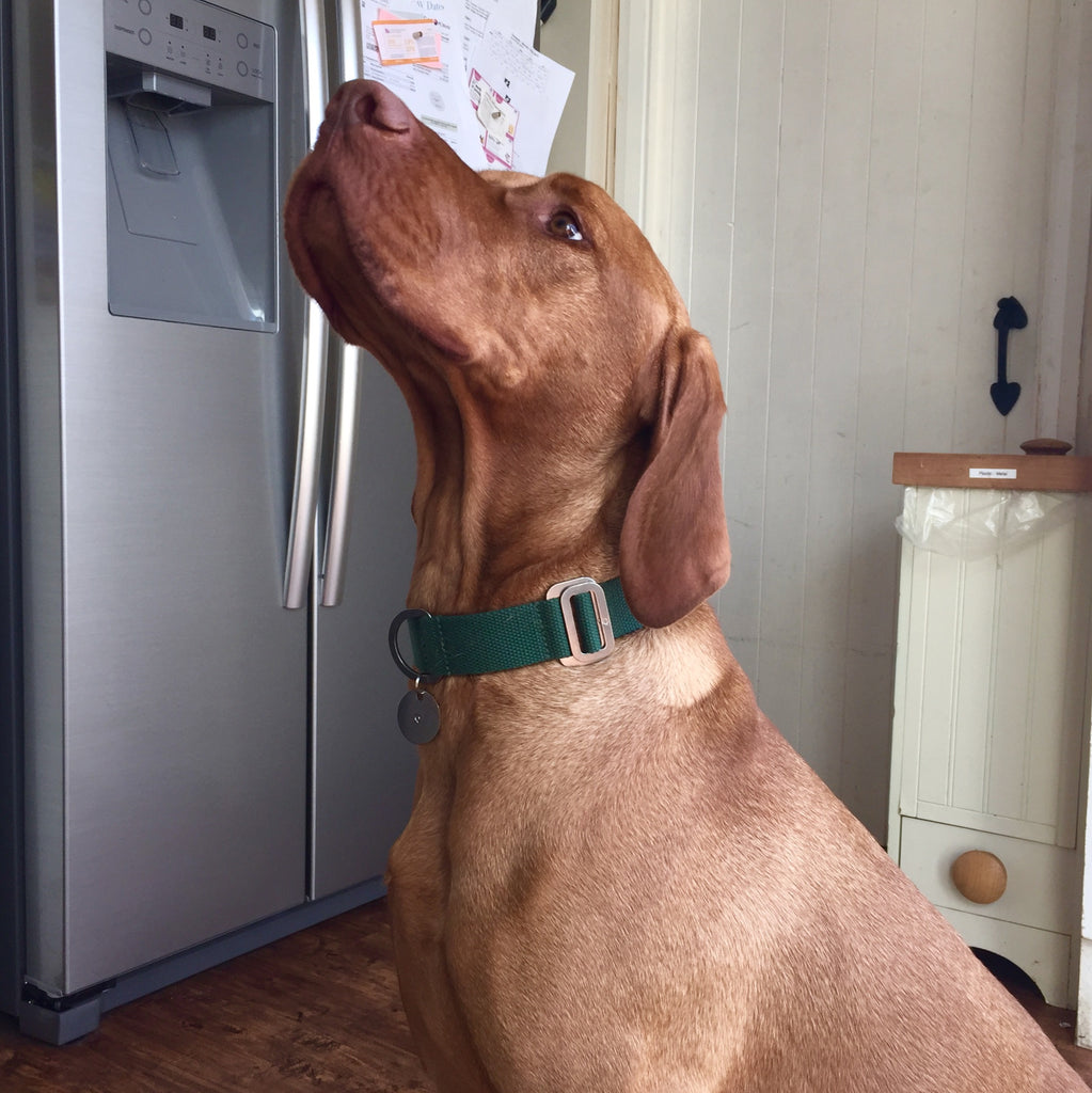 DJANGO