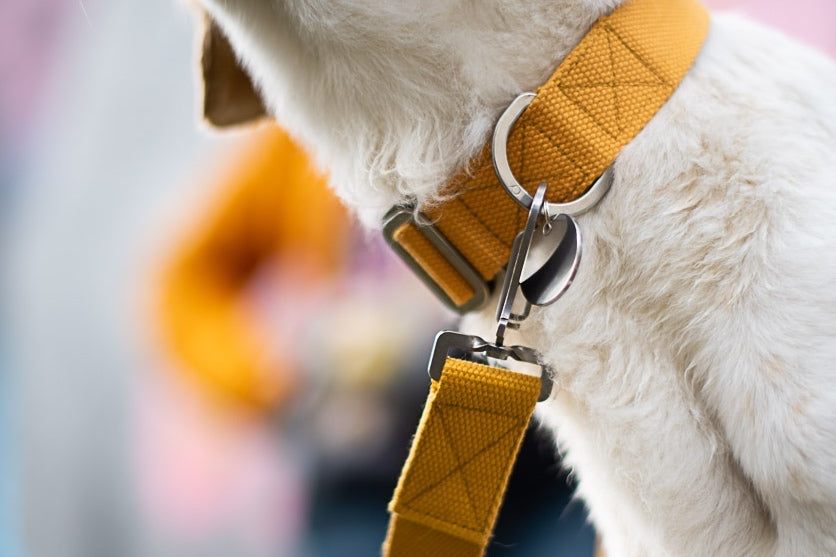 INTERNATIONAL ORDERS : HINDQUARTERS MAKE LOVELY DOG STUFF IN THE UK AND HAPPILY SHIP THINGS AROUND THE WORLD