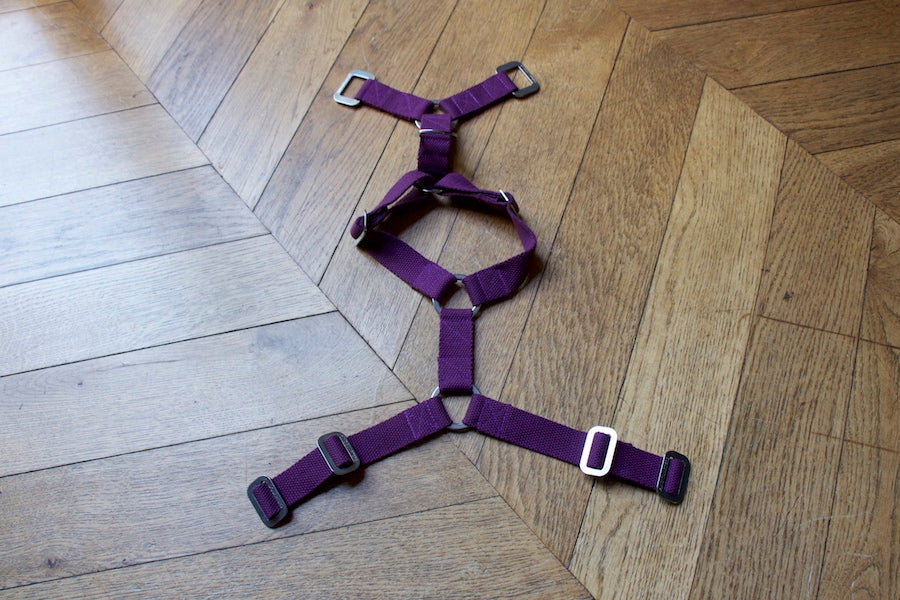 Hindquarters purple harness for small dog