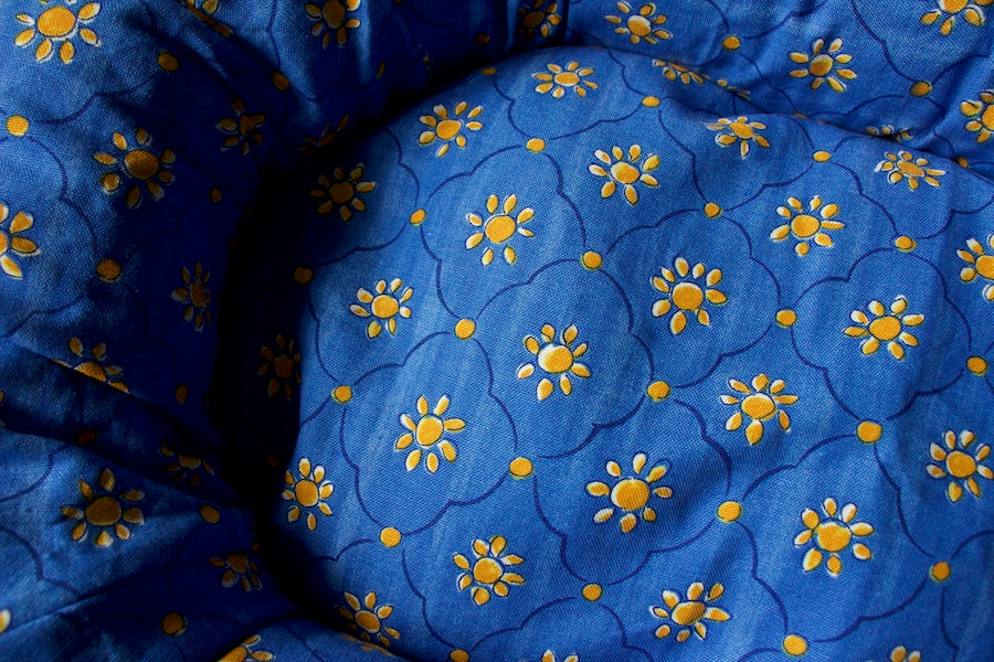 BLUE DOG BED