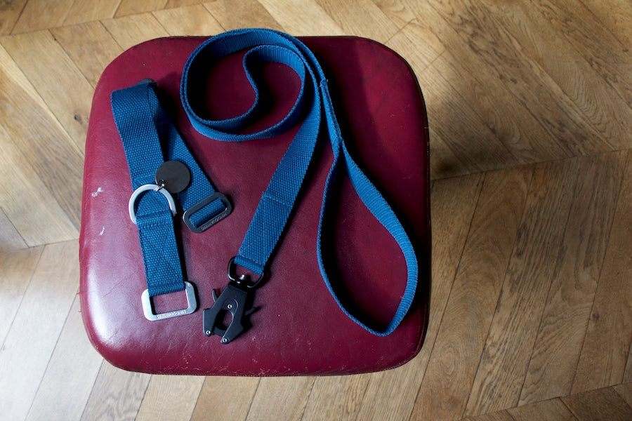 blue dog collar and lead
