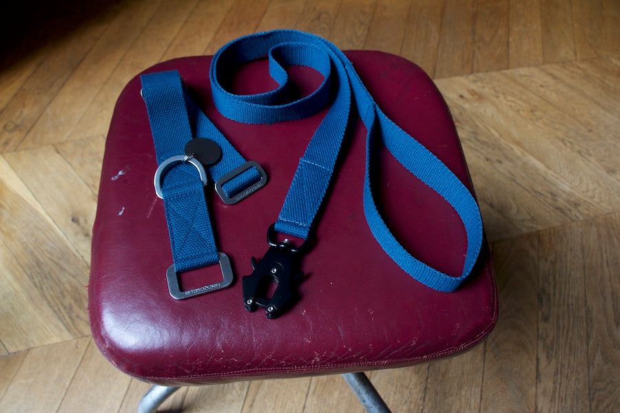 blue dog lead and matching collar