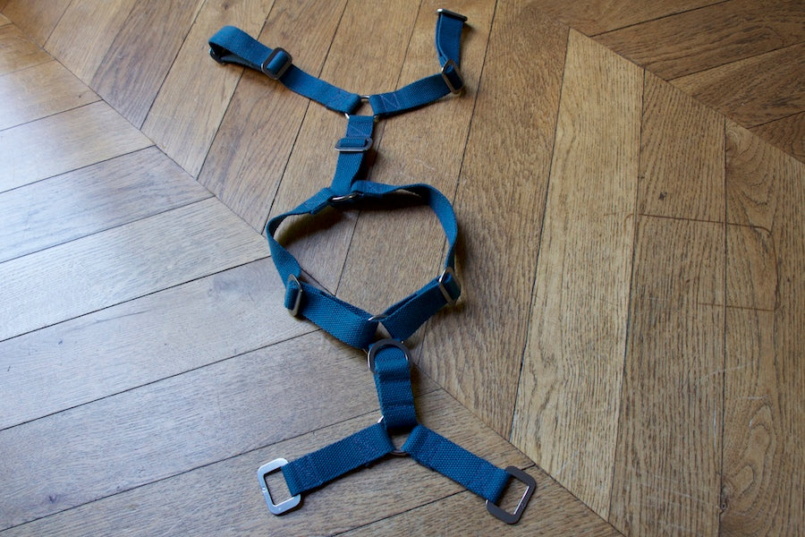blue harness medium size