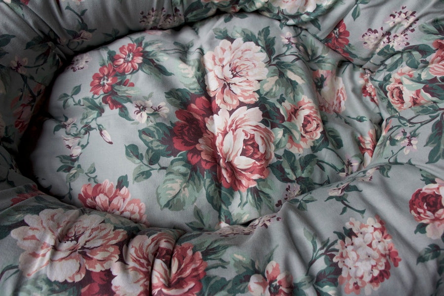 comfy floral dog bed with bolster for dog