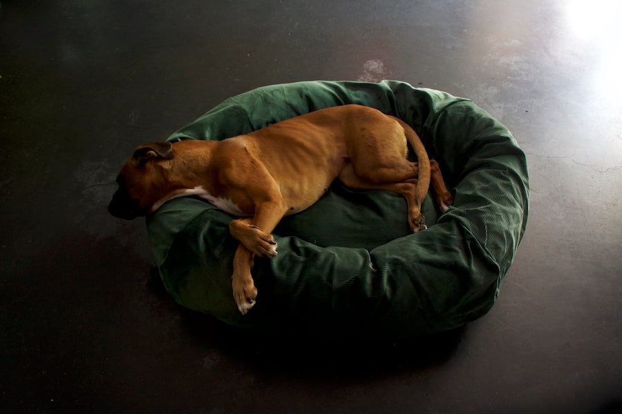 green corduroy dog bed for large dogs