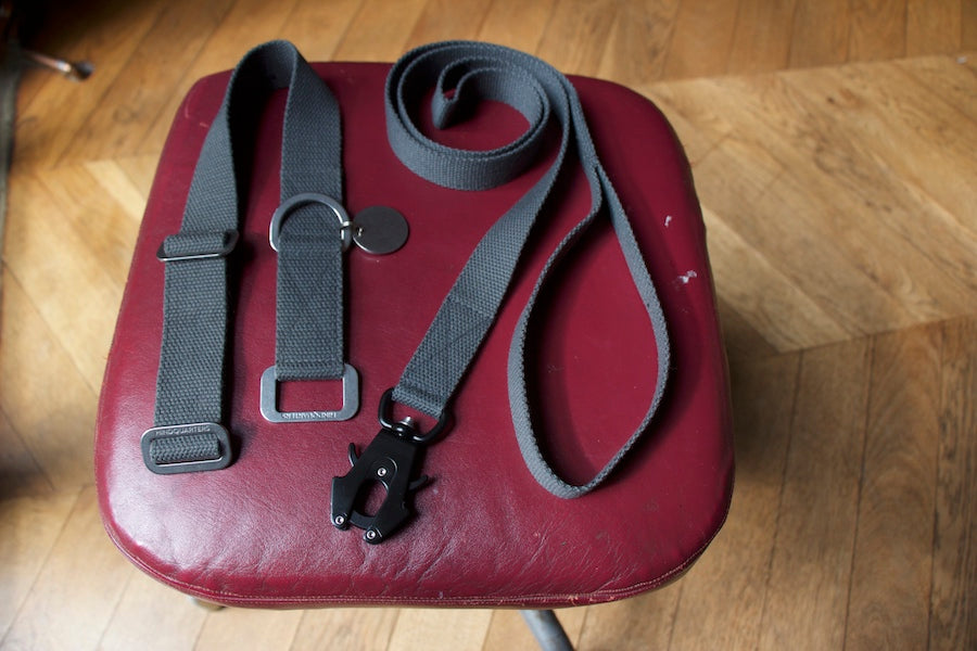 grey dog lead with matching dog collar