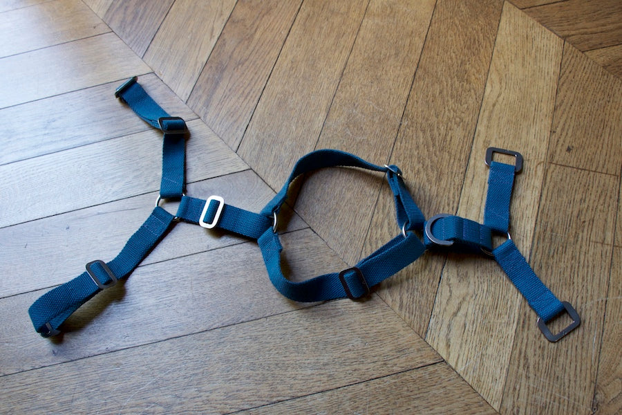Puddle Blue Harness