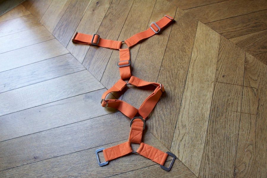 orange hindquarters harness