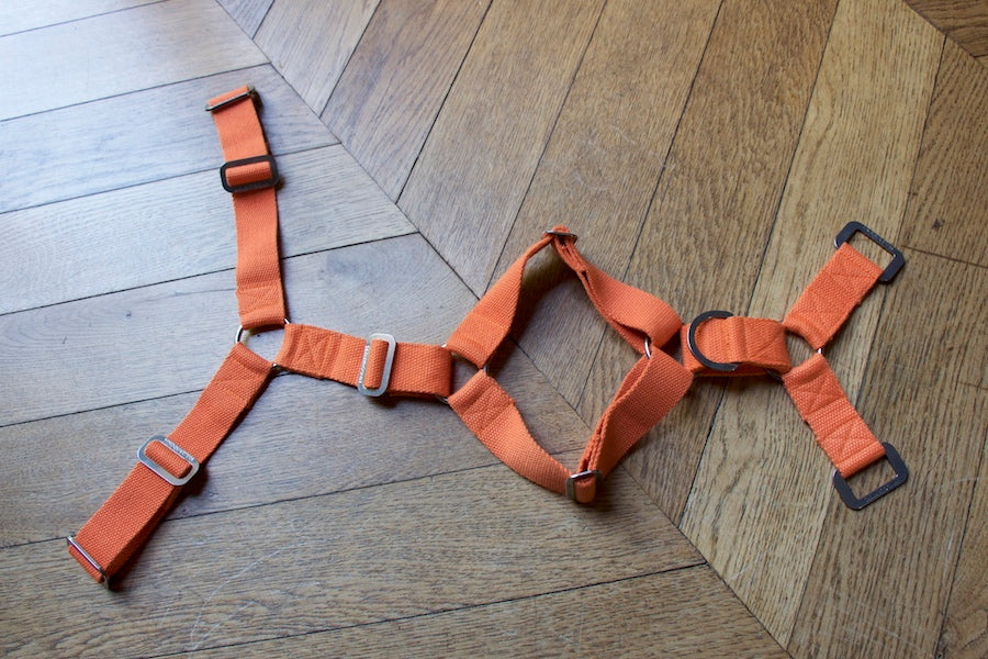 orange harness for dog medium size