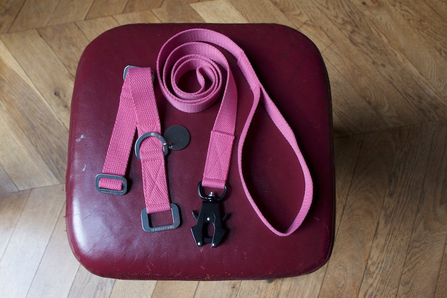 pink dog lead with matching dog collar