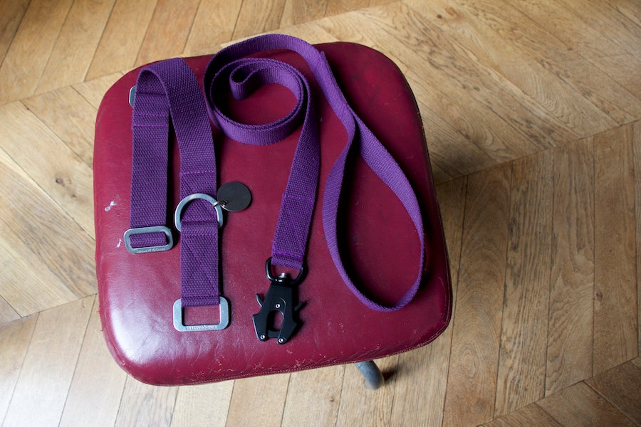 purple dog lead with matching dog collar