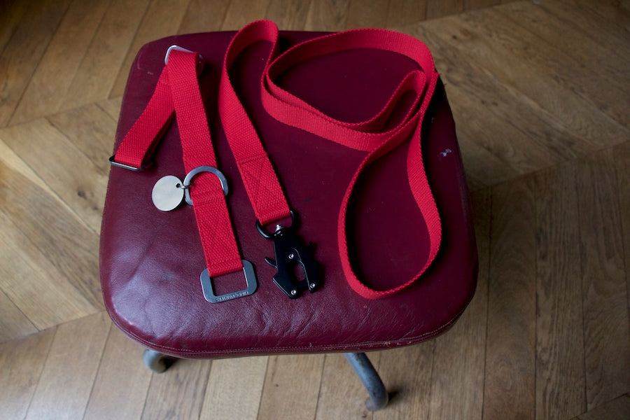 red dog lead with matching collar