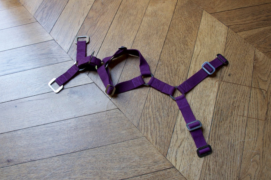 small Hindquarters plum purple harness