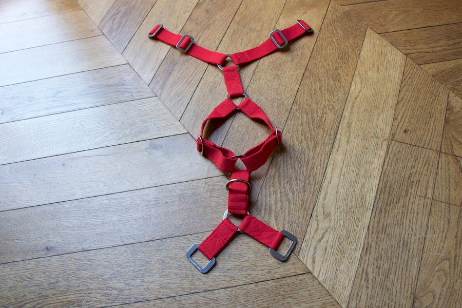 small comfy red harness for dog