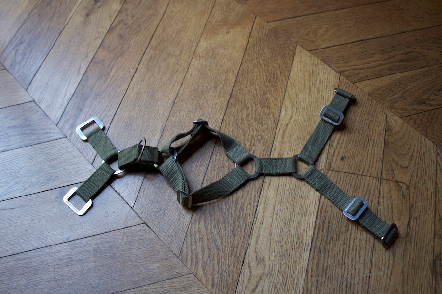 small khaki harness for dogf