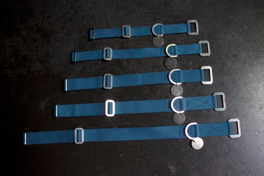 blue dog collars uk