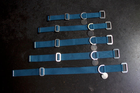 blue dog collars uk