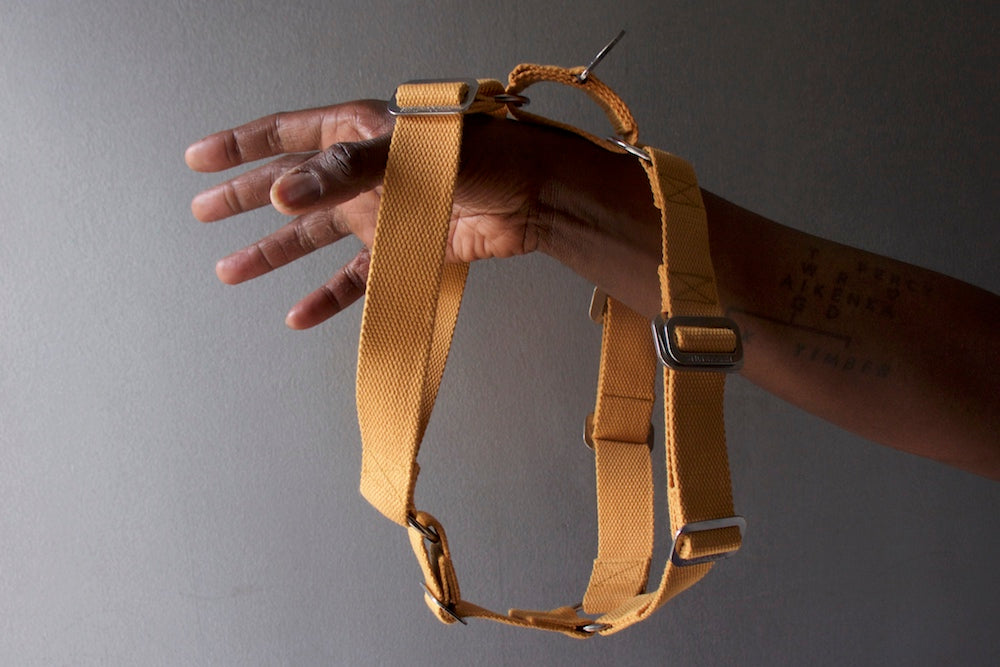 mustard harness for dog