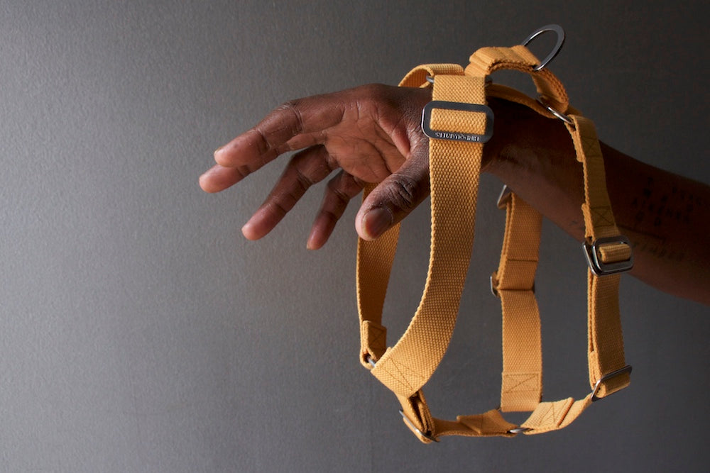 mustard yellow harness