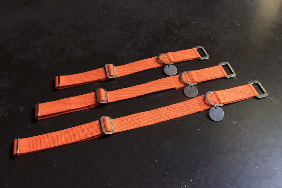 orange dog collars