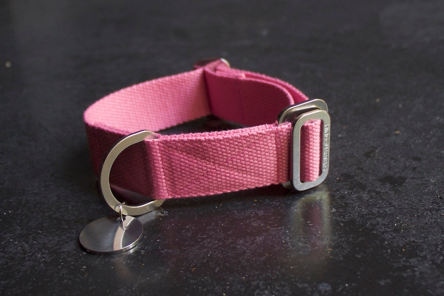 pink dog collar