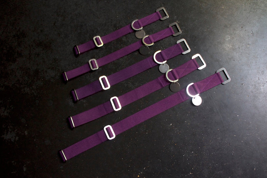 purple dog collars