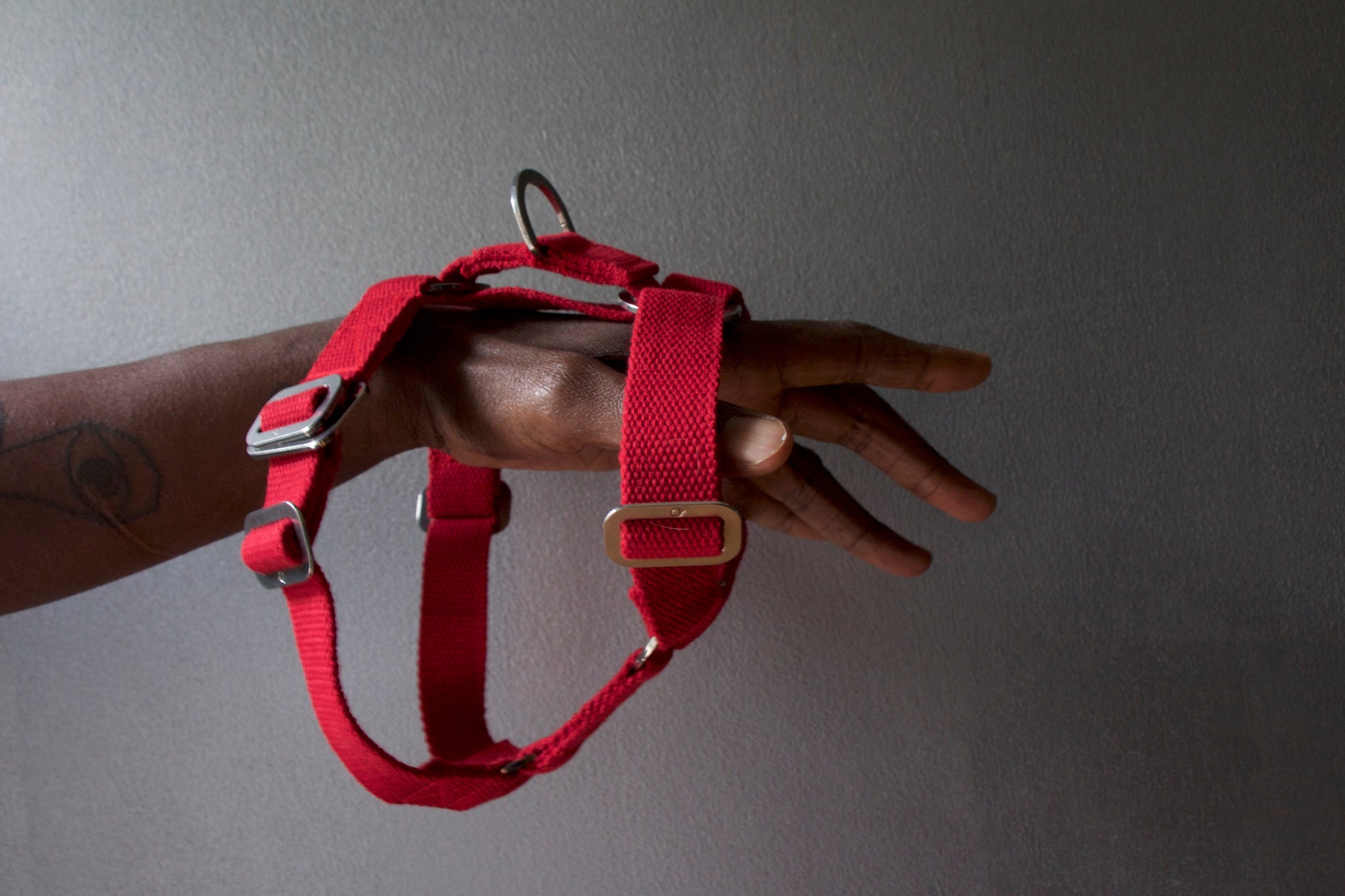 red harness for dog