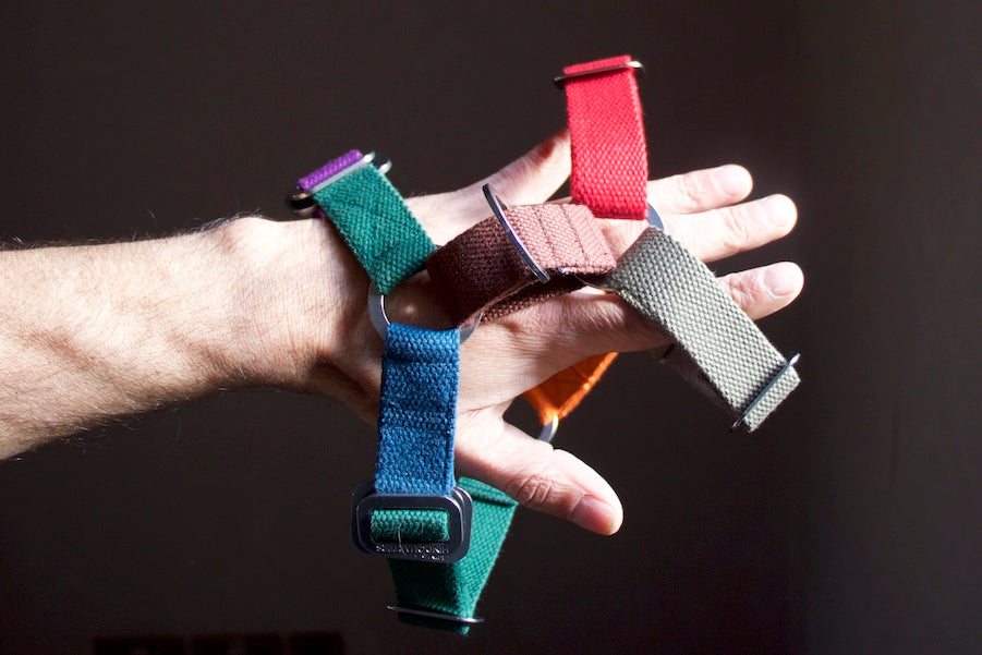 small colourful harness for dog