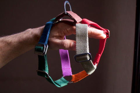 small multi coloured harness