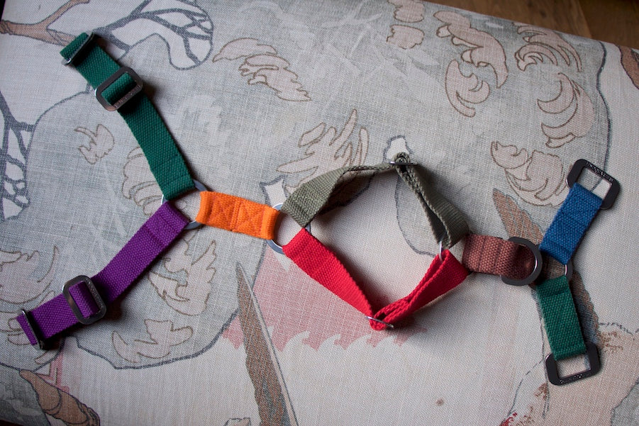 small rainbow harness